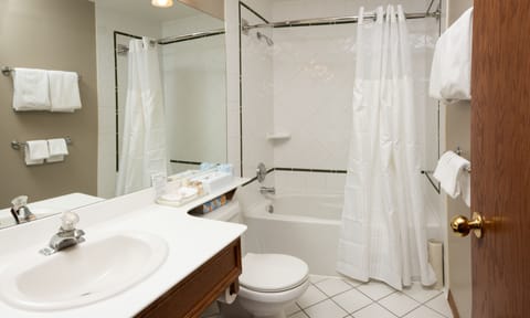 Standard Room, 1 Queen Bed | Bathroom | Combined shower/tub, free toiletries, hair dryer, towels