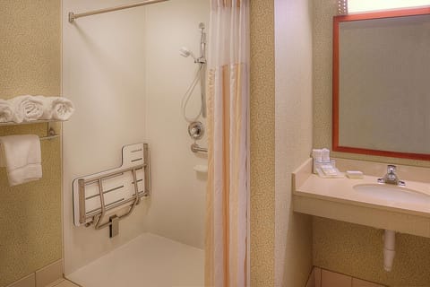 Room, 1 King bed, Accessible, Bathtub | Bathroom shower