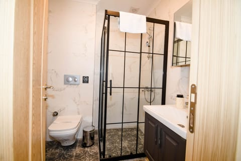 Traditional Room | Bathroom | Shower, rainfall showerhead, free toiletries, hair dryer