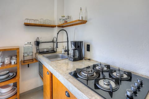 Junior Suite, 1 Bedroom, Terrace, Mountain View | Private kitchen | Cookware/dishes/utensils