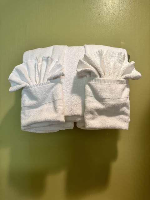 Combined shower/tub, towels