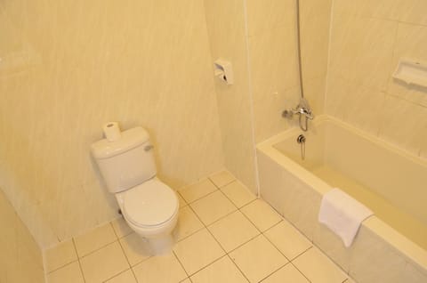 Combined shower/tub, free toiletries, hair dryer, towels