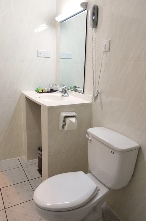 Suite | Bathroom | Combined shower/tub, free toiletries, hair dryer, towels