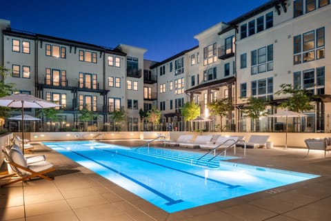 Outdoor pool, sun loungers