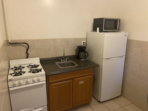 Deluxe Double Room | Private kitchen | Freezer