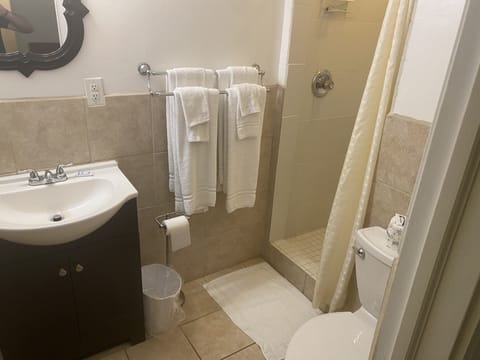 Deluxe Double Room | Bathroom | Shower, free toiletries, soap, shampoo