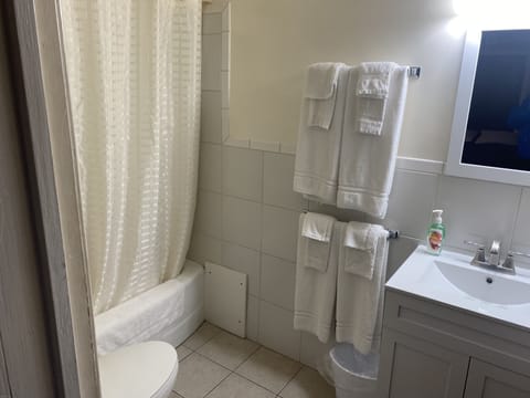 Standard Double Room | Bathroom | Shower, free toiletries, soap, shampoo