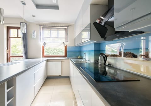 Family Apartment, 1 Bedroom, Balcony, Annex Building | Private kitchenette | Stovetop, electric kettle, freezer, paper towels