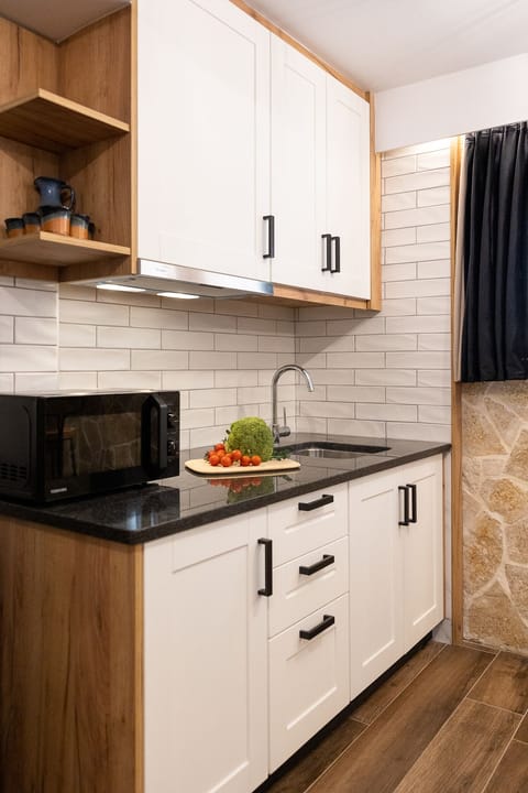 Exclusive Apartment, 2 Bedrooms | Private kitchenette | Fridge, microwave, stovetop, electric kettle