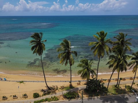 Beach nearby, white sand