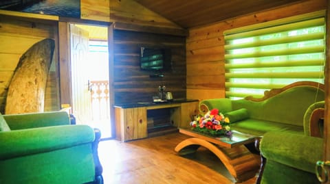 Luxury Tree House, 1 King Bed | Living area | 42-inch LED TV with satellite channels, TV, fireplace