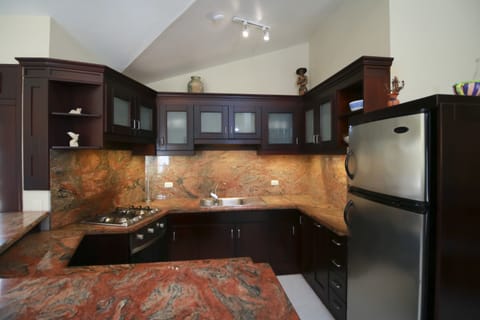 Standard Penthouse | Private kitchen | Microwave