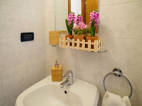 Basic Room | Bathroom | Shower, hair dryer, towels, soap