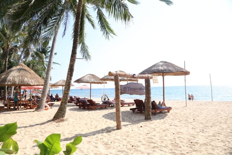 Private beach, sun loungers, beach umbrellas