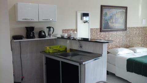 Standard Room | Private kitchen | Fridge, microwave, blender, cookware/dishes/utensils