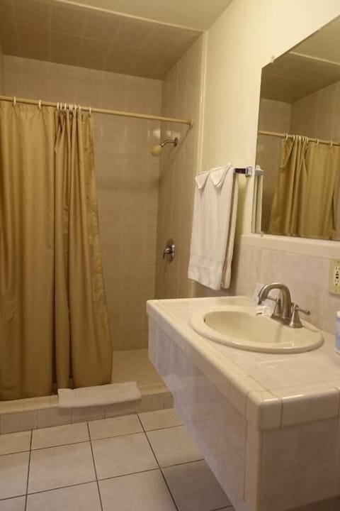 Standard Room, 1 King Bed | Bathroom | Shower, towels, soap, toilet paper