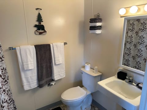 Single Room | Bathroom | Combined shower/tub, free toiletries, towels, soap