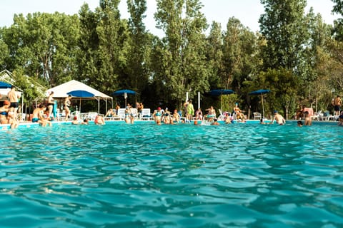 Seasonal outdoor pool, pool umbrellas, sun loungers