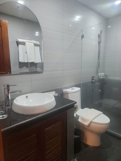 Deluxe Triple Room | Bathroom | Free toiletries, slippers, bidet, towels