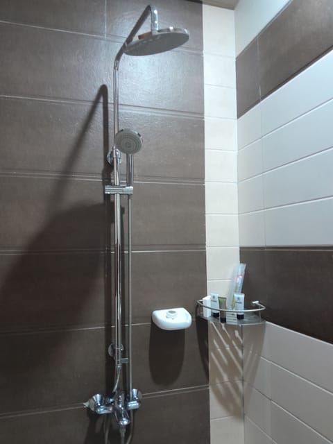 Separate tub and shower, hair dryer, bidet, towels