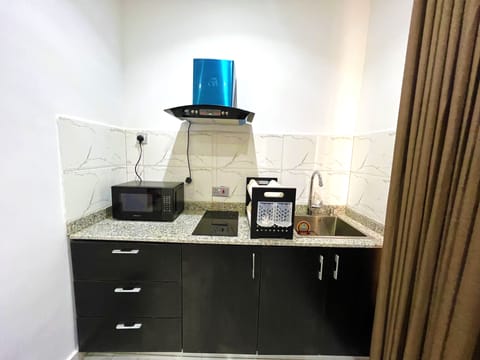 Executive Apartment | Private kitchen | Mini-fridge, electric kettle