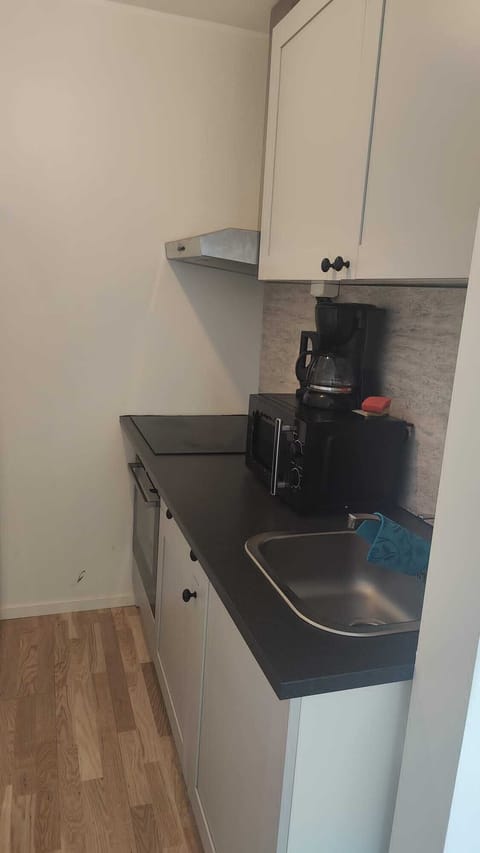 Apartment | Private kitchen | Fridge, microwave, oven, stovetop