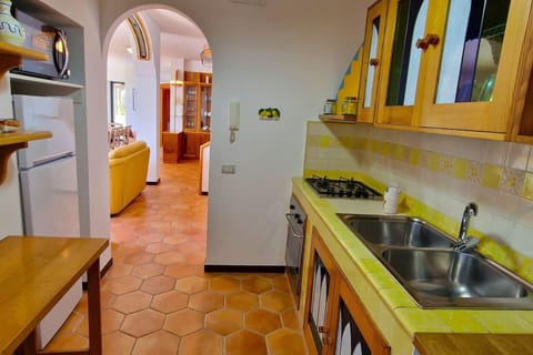 Villa | Private kitchen | Fridge, microwave, oven, stovetop