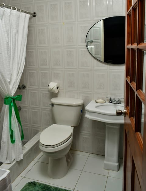 Room | Bathroom | Shower, hydromassage showerhead, hair dryer, towels