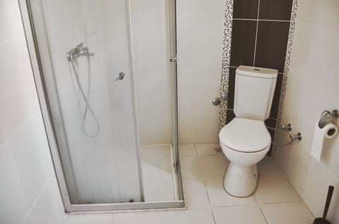 Basic Room | Bathroom | Shower, hair dryer, bidet, towels