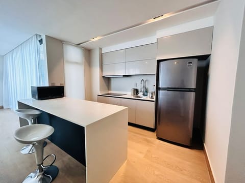 Grand Apartment | Private kitchen | Full-size fridge, microwave, stovetop, blender