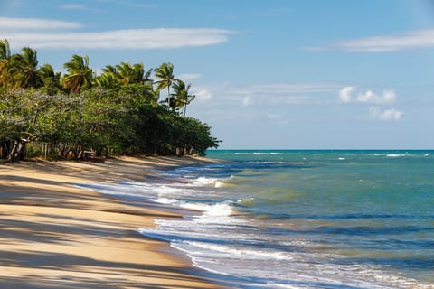 On the beach, white sand, beach shuttle