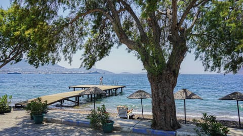 On the beach, beach shuttle, sun loungers, beach umbrellas