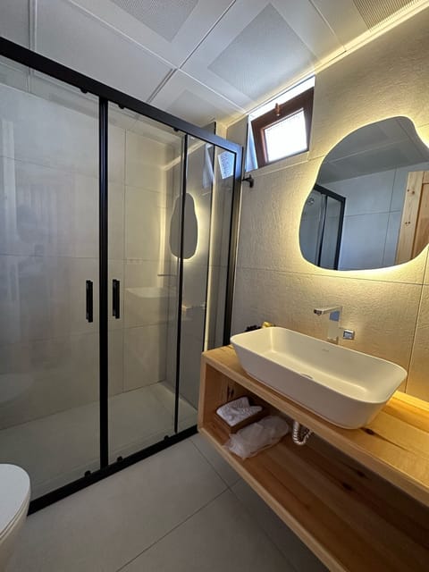 Deluxe Suite | Bathroom | Shower, rainfall showerhead, free toiletries, hair dryer