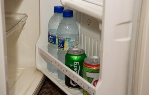 Mini-refrigerator