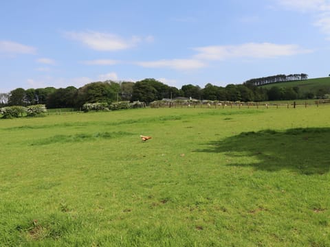 Cottage | Miscellaneous