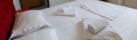 Standard Double Room R8 | 1 bedroom, free WiFi