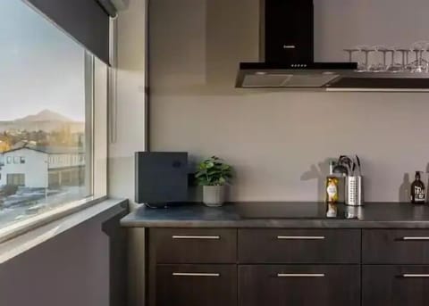 Deluxe Apartment | Private kitchen | Fridge, oven, dishwasher, espresso maker