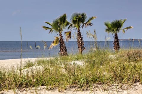 Beach towels