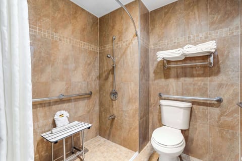 Standard Room, 1 King Bed, Accessible, Non Smoking | Accessible bathroom