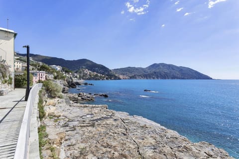 Apartment | 1 bedroom