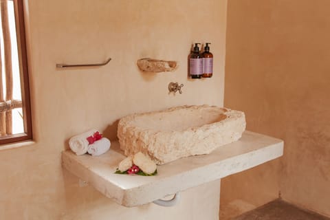 Premium Cabin | Bathroom | Shower, rainfall showerhead, eco-friendly toiletries, bathrobes