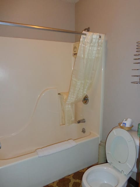 Combined shower/tub, free toiletries, hair dryer, towels