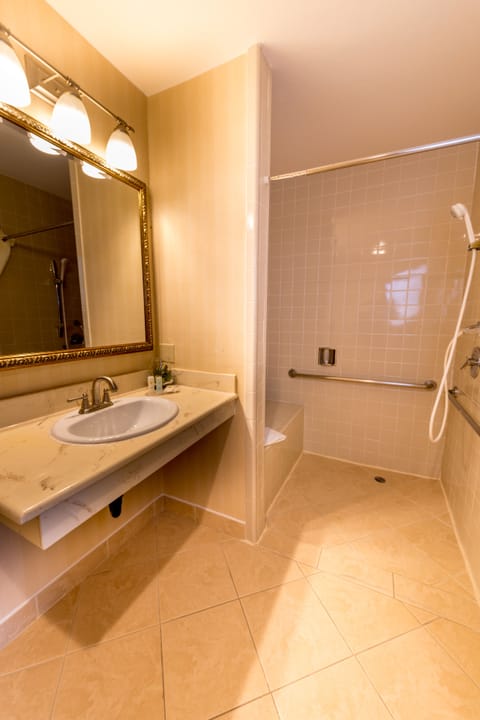 Combined shower/tub, free toiletries, hair dryer, towels