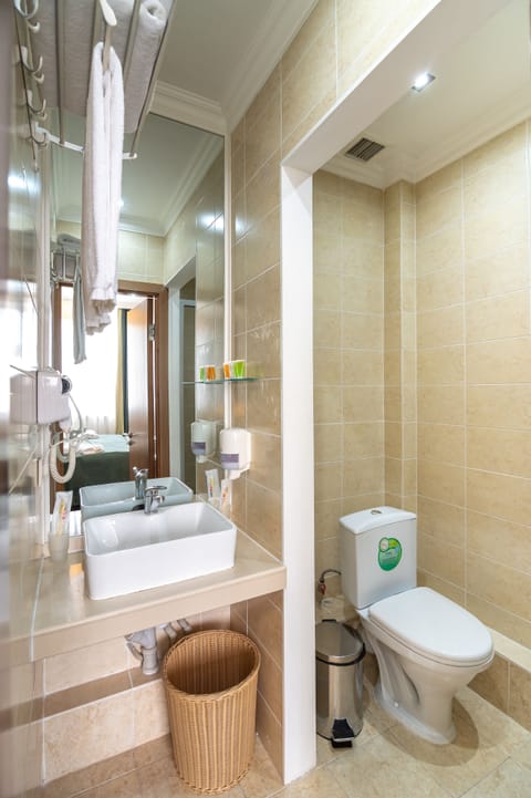 Double or Twin Room | Bathroom | Shower, free toiletries, hair dryer, bathrobes