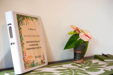 Apartment (0 Bedroom) | Interior