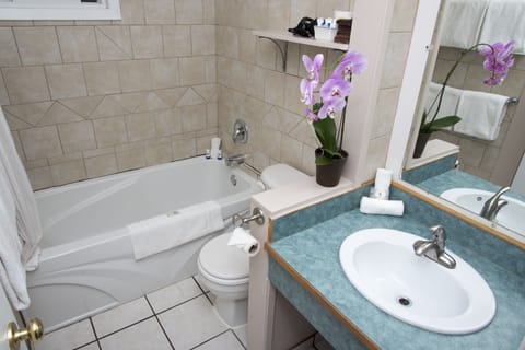 Combined shower/tub, free toiletries, hair dryer, towels