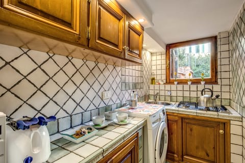 Apartment, 1 Bedroom, Terrace | Private kitchen