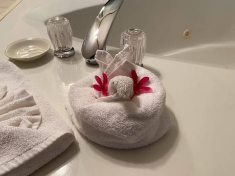 Master Suite | Bathroom | Free toiletries, hair dryer, towels, soap