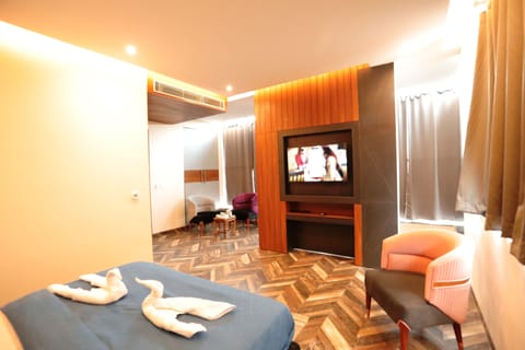 Executive Room | Living area