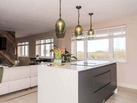 Fridge, dishwasher, electric kettle, toaster